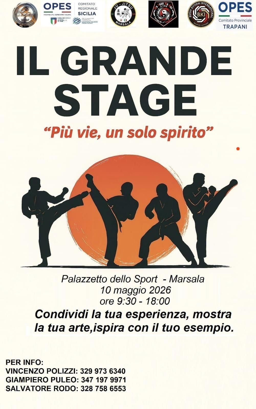 🥋 IL GRANDE STAGE – Più vie, un solo spirito 🔥 più vie